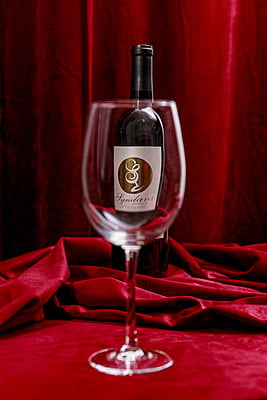 Cabernet Franc: 2022 Texas High Plains Cabernet Franc: 2022 Texas High Plains